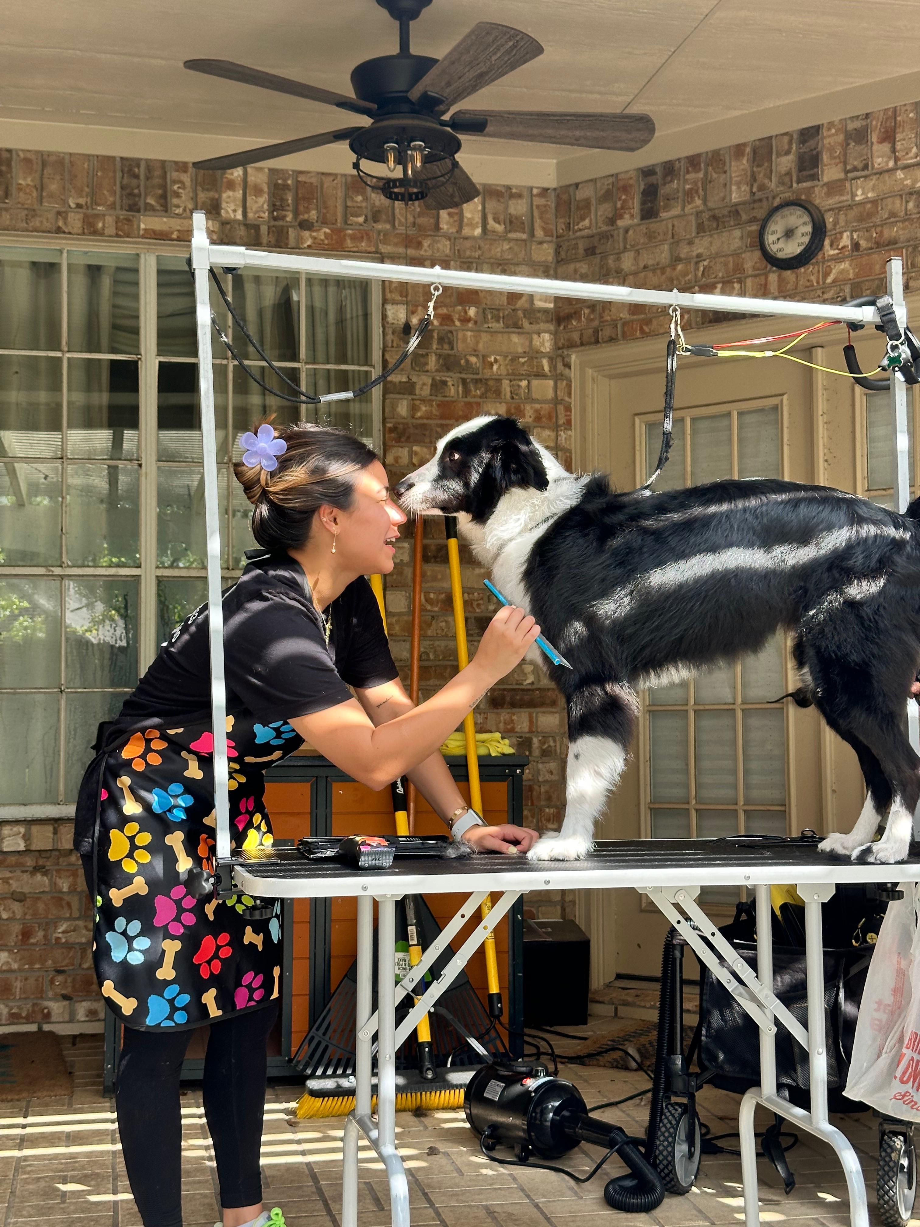 Dog grooming